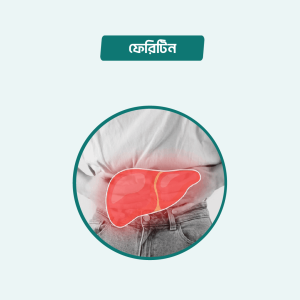 Ferritin