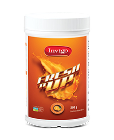 nvigo FRESHnUP Drink 200 g